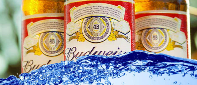 Class Action Suits Accuse Anheuser-Busch of Watering Down Beer