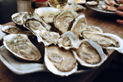 Wine Bar | Where to Find Buck-a-Shuck Oysters in Philadelphia