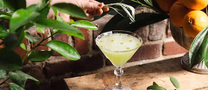 Philadelphia Distilling Launching Secret Pop-Up Cocktail Garden for Earth Day, April 11-21